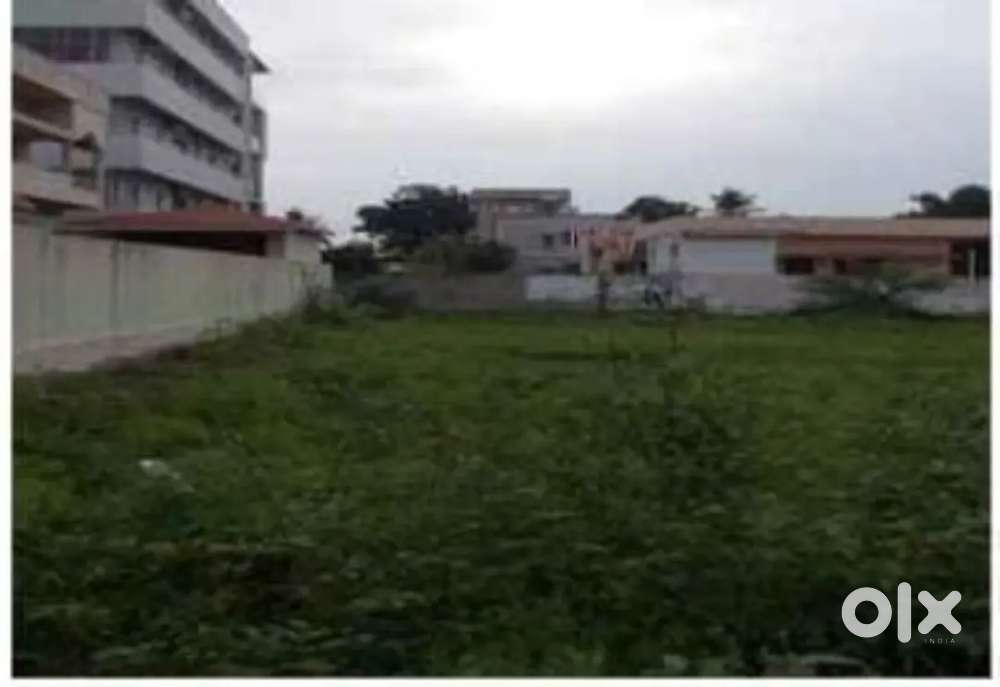 Opp. Suresh Nagar park