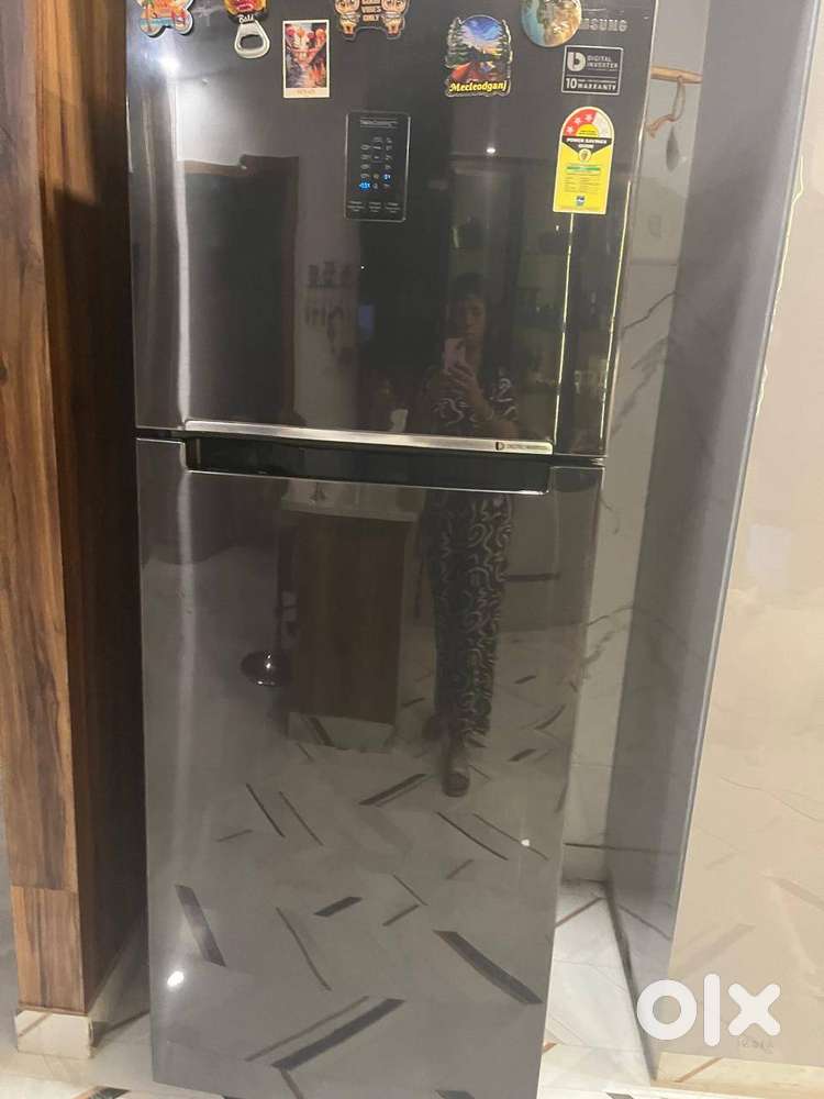 Samsung 415L Frost Free Double Door Fridge (RT42M5538BS, Black Inox)