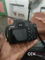 Original conda can