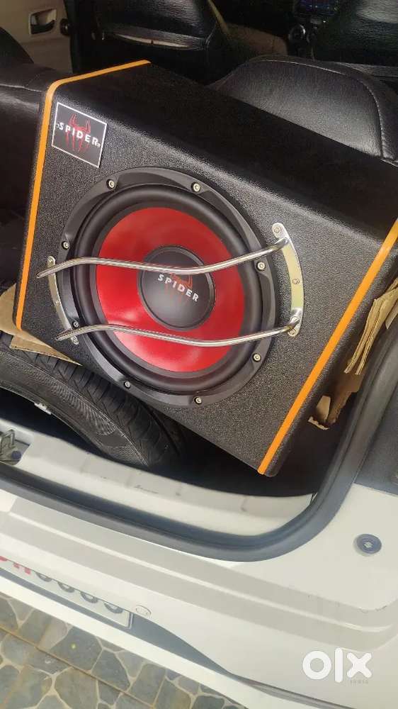Car audio subwoofer