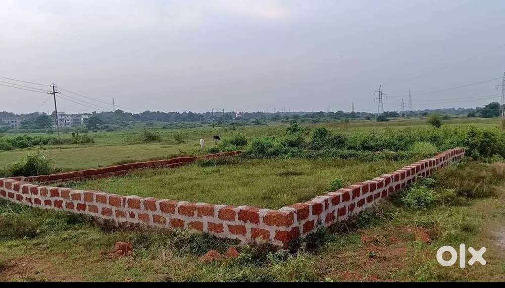 High-Return Plotting Project Near AIIMS & 200 ft Ring Road