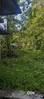 House with plot(10 cent) for sale