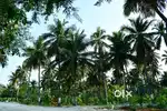 Agriculture land With gated community