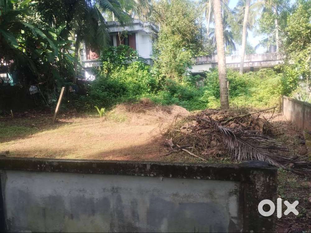 6.5 CENTS FOR YOUR DREAM HOME