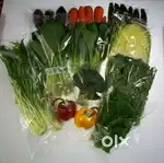 Male Packing Staffs vacancy 5 nos