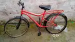 Cycl  Radhe colour