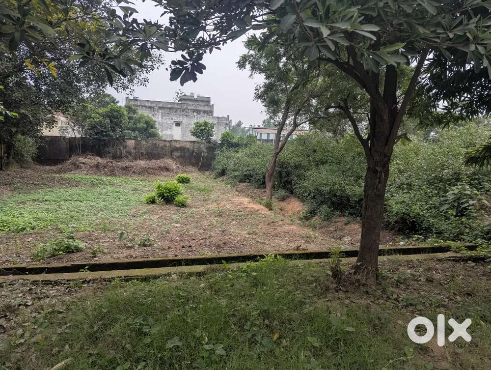 Plot in single gated Approved colony