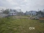 7.8cent developed House plot at Thengallur .