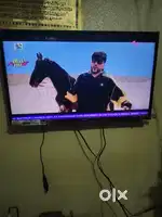 Llooyd company TV