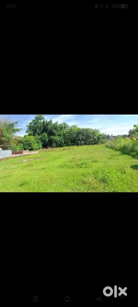 Mission chariali near eye hospital road