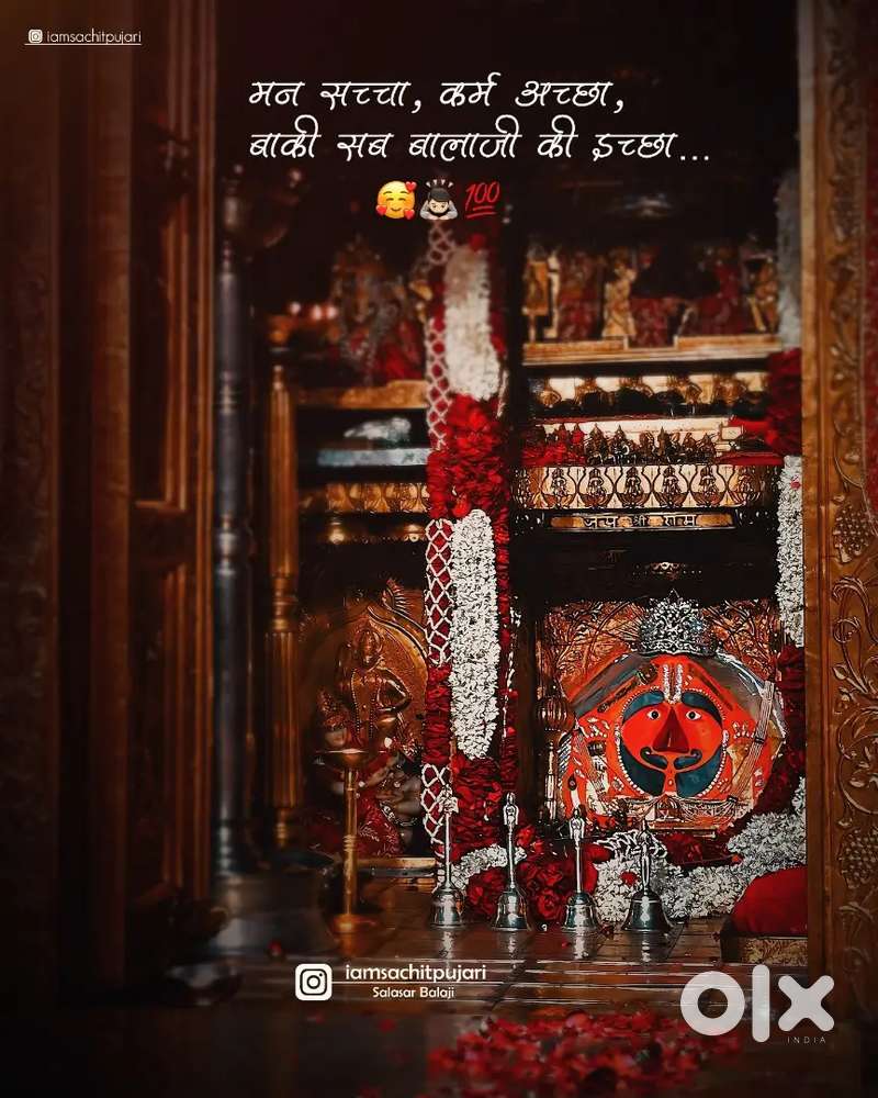 1 bhk flat Study roommates only