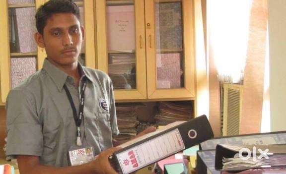 Fresher Office boy. 10:30 am to 8:30 pm