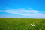 Required 4-5 Bigha land in Bongaigaon