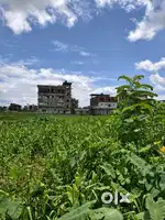 3 katha Land Want to sell Genuine buyers can contact me