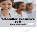 Collection Tele caller Nationalized banks ( Experienced)d