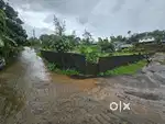 Aluva Kuttamassery 6cent land for sale