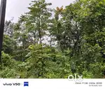 31 Cent Low Budget Plot for Sale in Vagamon – ₹55,000 per Cent