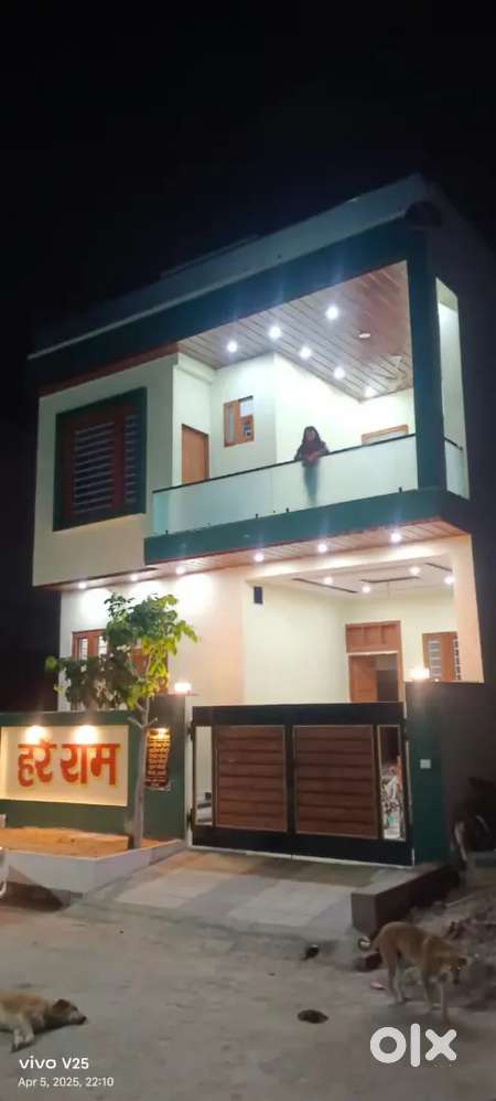 New makan hai
