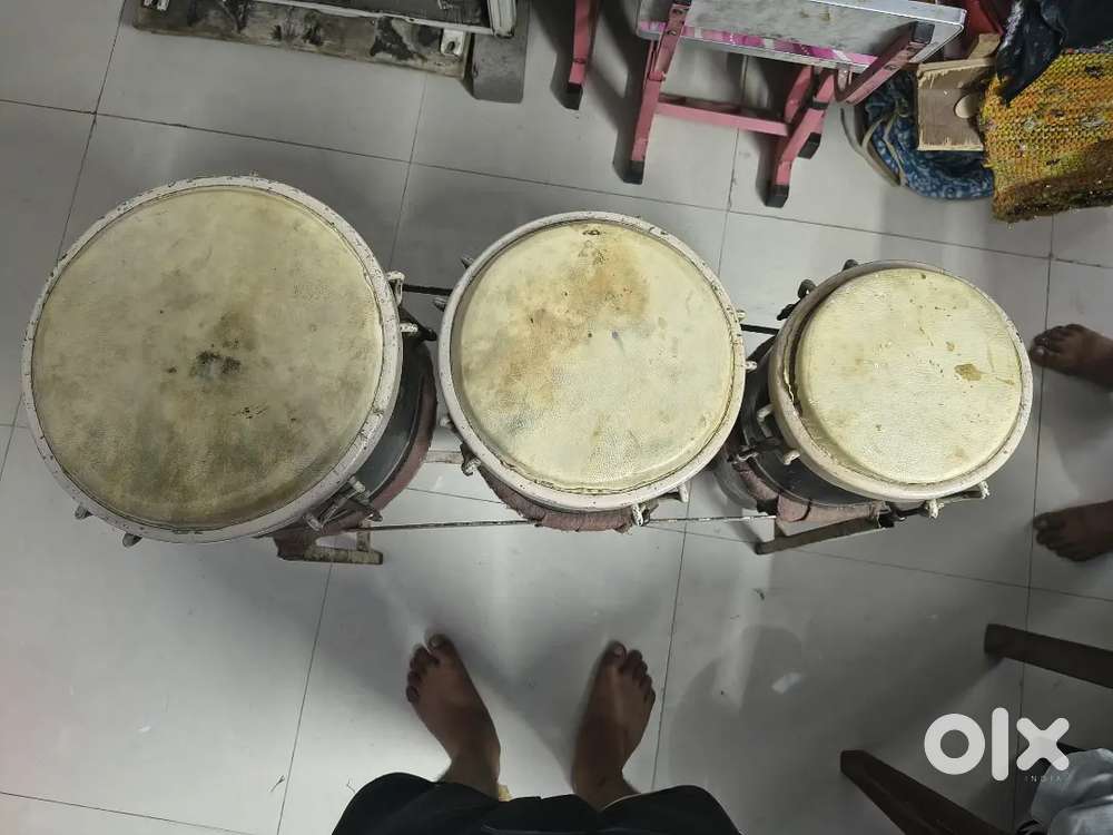 Tripal congo