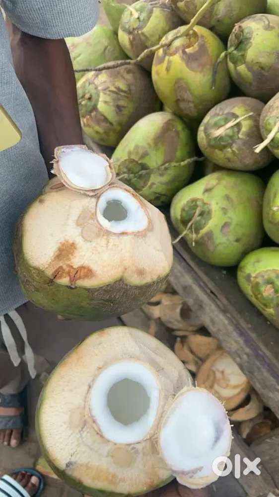 Coconut selling