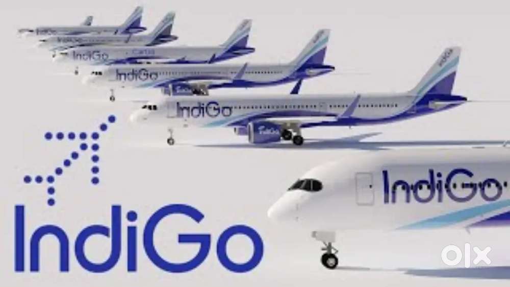 Ground Staff jobs in indigo Airlines urgent hiring Apply Fast