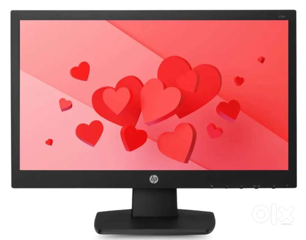 HP V194 Monitor