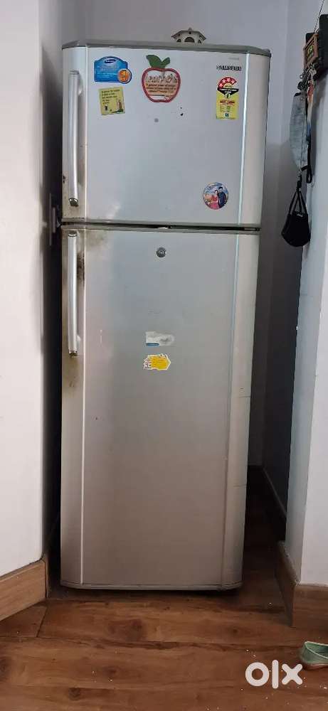 Samsung double door