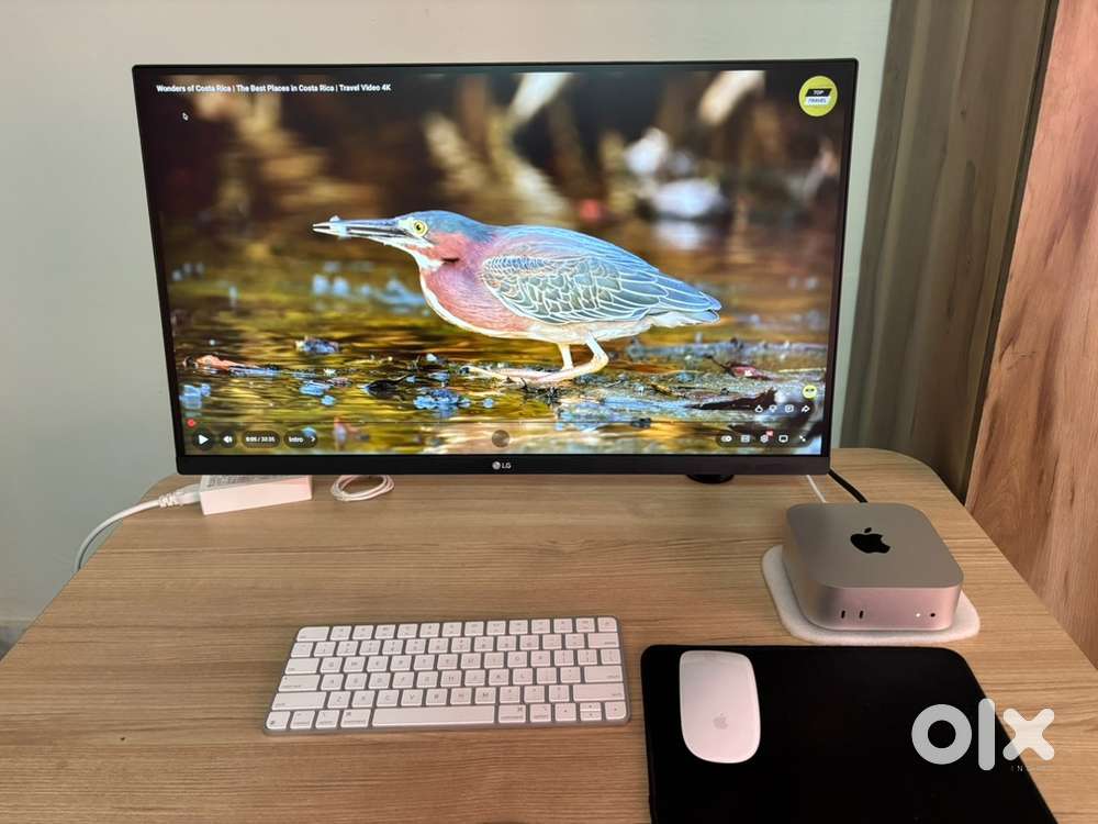 Mac mini m4, magic keyboard, magic mouse