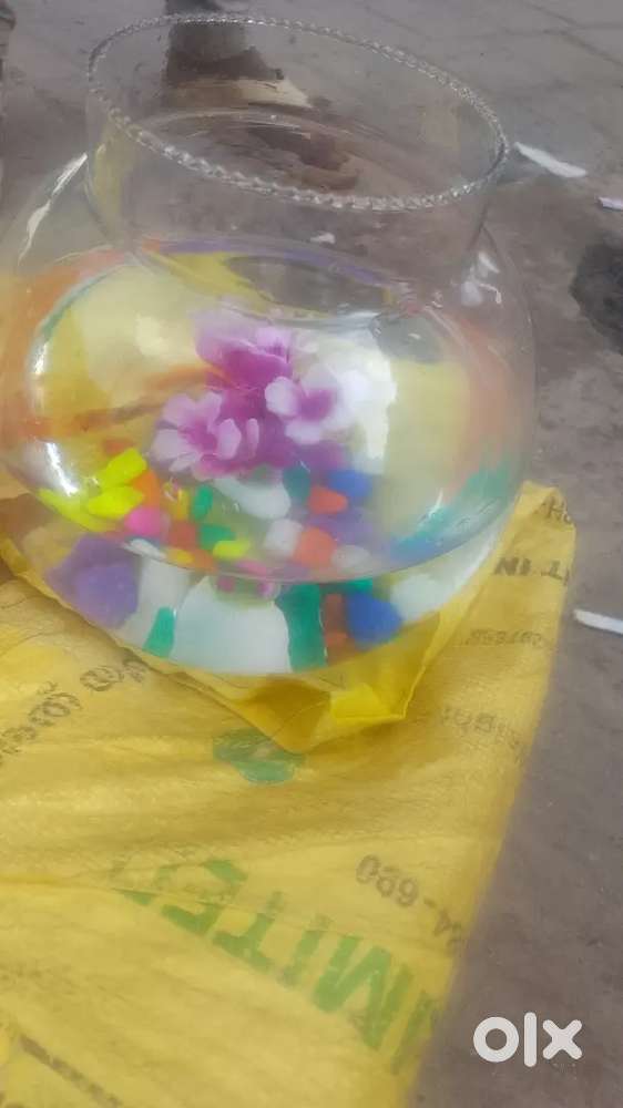 Dunne biryani nati style