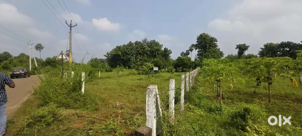 CENT 2LAKHS (KORADA VILLAGE )