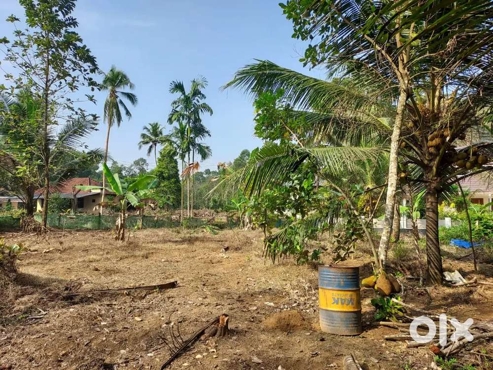 20.5 cent plot for sale in Muvattupuzha
