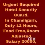 5 Star Hotel Security Guard Job Chandigarh 63
