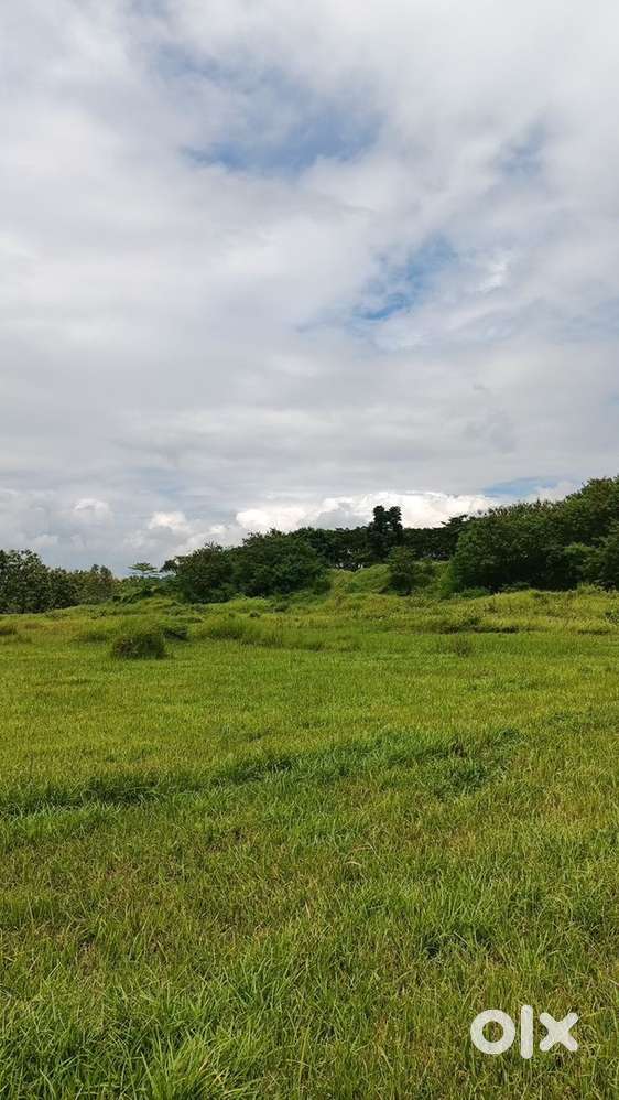 23 kanal Area Fully Facing south & kuprala udhampur  Area Location