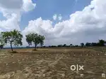 CNT FREE PLOT