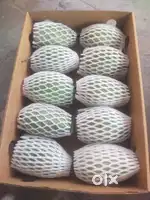 Kesar mango