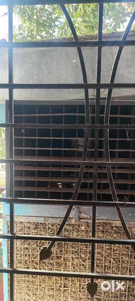 Home cooler in best condition for sell