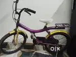 Seat ka upar ka nhi h Or baki sub thik h