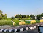 Park facing