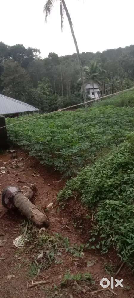 6 cent plot at Nanniyode