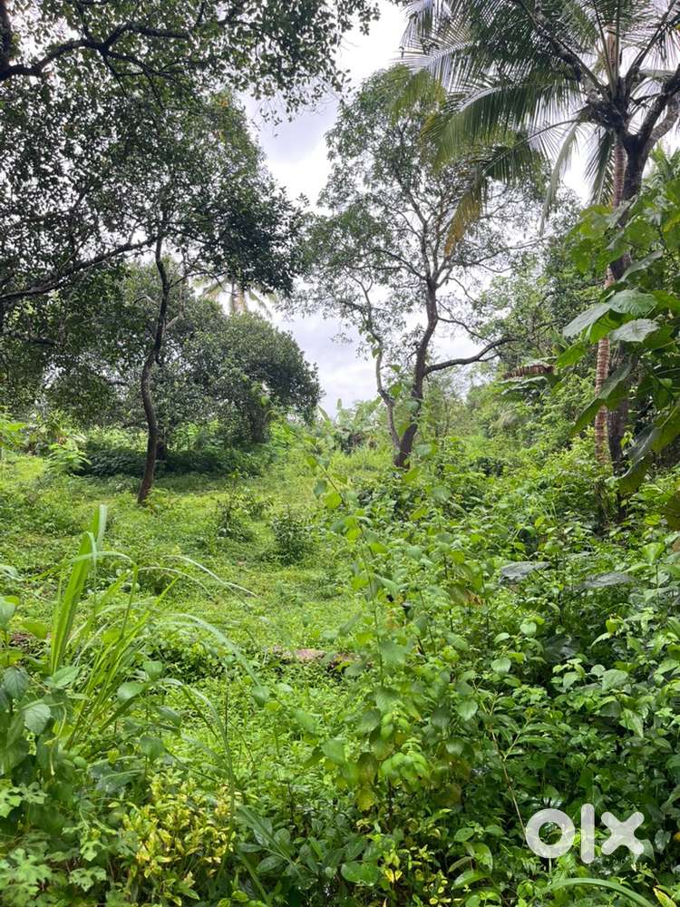 Housing/shop plot for sale near to main road