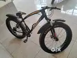 Luistone Fat Tyre Cycle