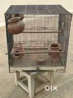 Love Birds Cage
