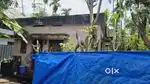 House near Cherthala railway station 1 km 2 BSc ke
