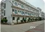 एक औरत चाहिए जो खाना बना सके खाना बनाने के लिए एक औरत की ज़रूरत है