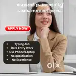 Data Entry Work