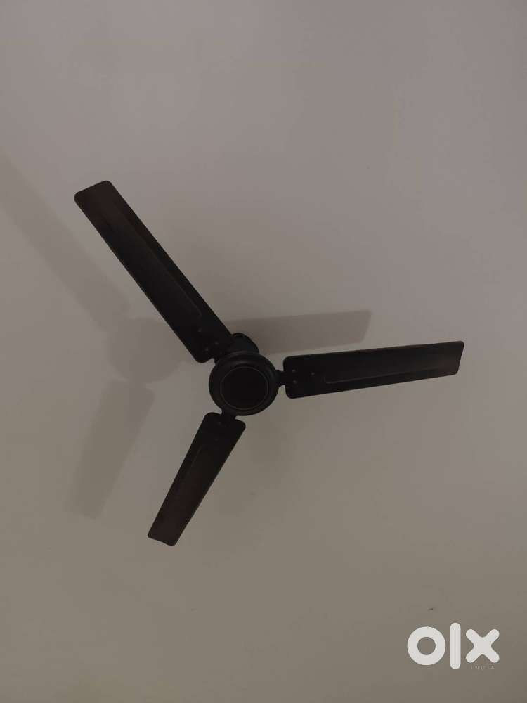 Ceiling fan
