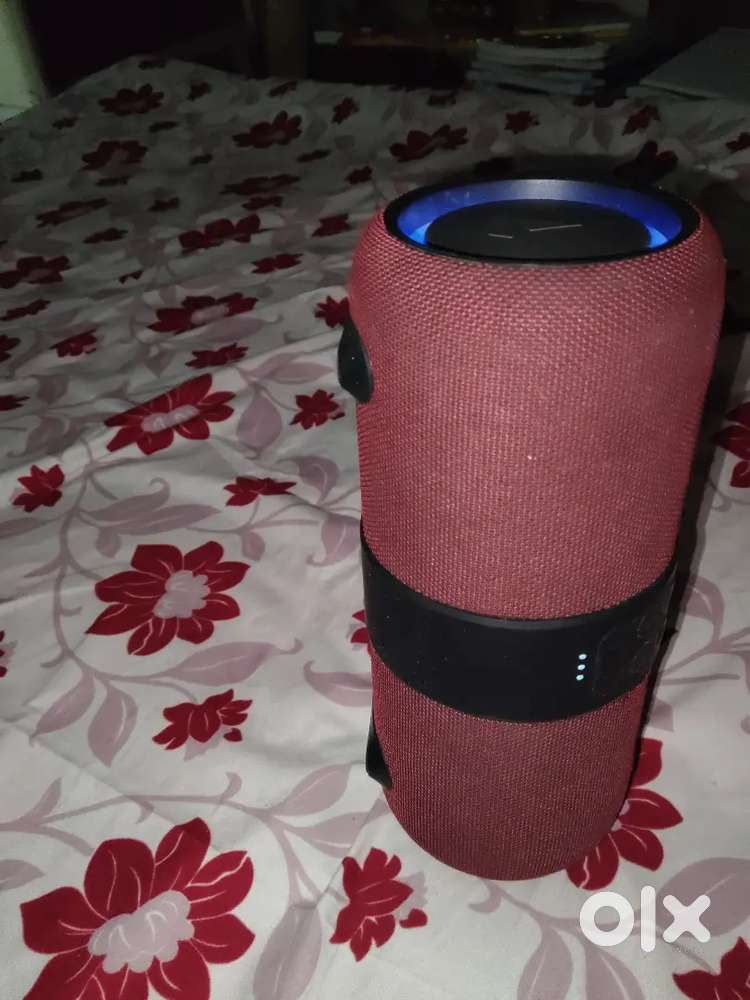 Boat speaker