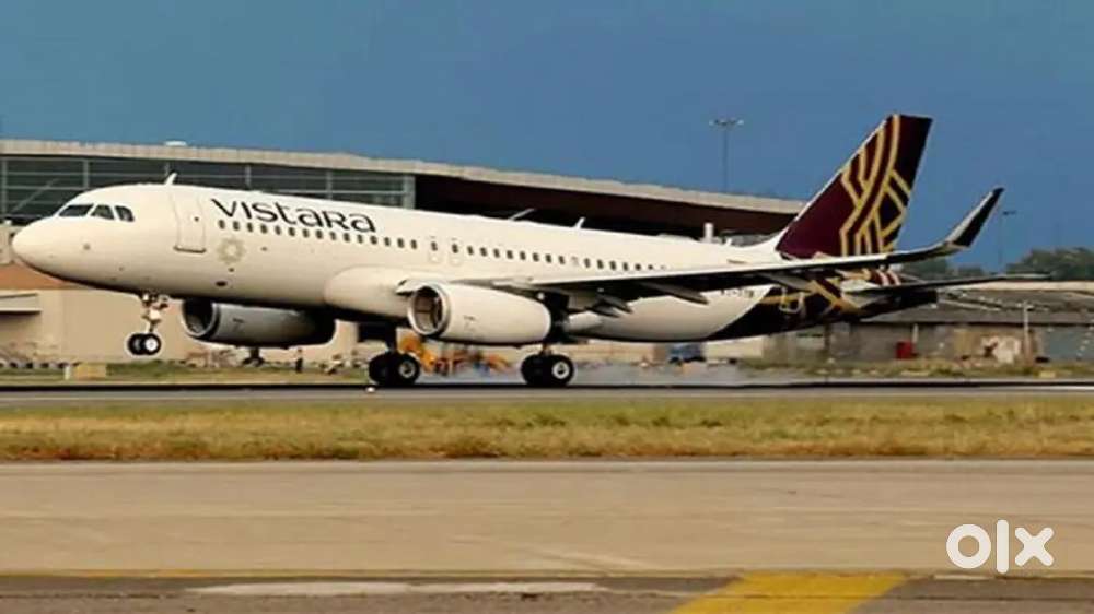 Hiring In Airport Jobs Driver And Ground Staff freshers can apply