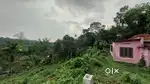 1.15 acre land and house