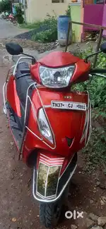 single owner ladies used